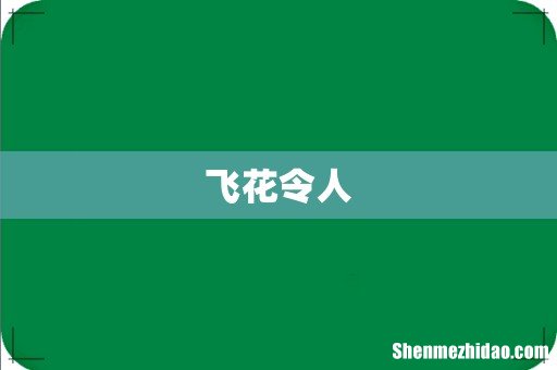 飞花令人