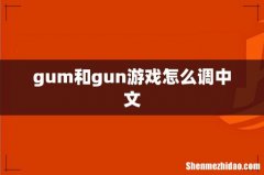 gum和gun游戏怎么调中文