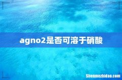 agno2是否可溶于硝酸