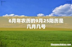 6月年农历的9月25阳历是几月几号