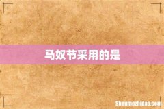 马奴节采用的是