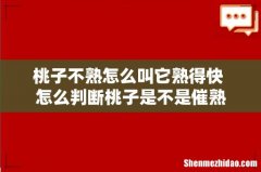 桃子不熟怎么叫它熟得快 怎么判断桃子是不是催熟