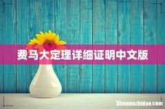 费马大定理详细证明中文版