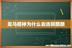 龙马精神为什么会选郭麒麟