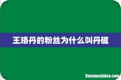 王珞丹的粉丝为什么叫丹磁