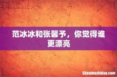 范冰冰和张馨予，你觉得谁更漂亮