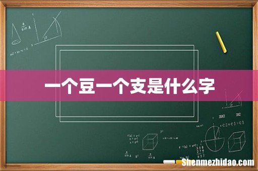 一个豆一个支是什么字