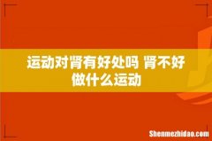 运动对肾有好处吗 肾不好做什么运动