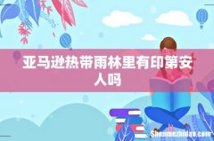 亚马逊热带雨林里有印第安人吗