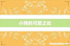 小狗的可爱之处