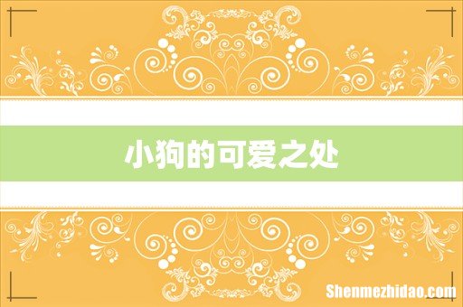 小狗的可爱之处