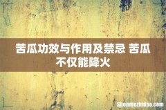 苦瓜功效与作用及禁忌 苦瓜不仅能降火