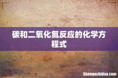 碳和二氧化氮反应的化学方程式