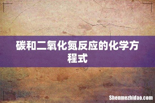 碳和二氧化氮反应的化学方程式