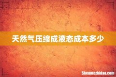 天然气压缩成液态成本多少