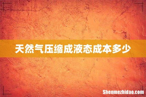 天然气压缩成液态成本多少