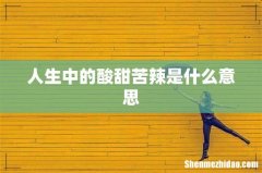 人生中的酸甜苦辣是什么意思