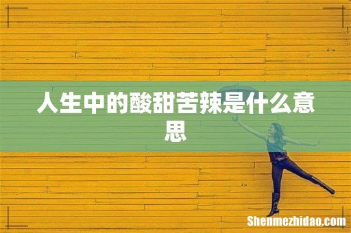 人生中的酸甜苦辣是什么意思