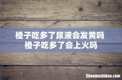 橙子吃多了尿液会发黄吗 橙子吃多了会上火吗