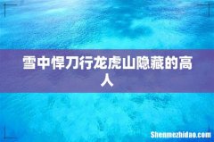 雪中悍刀行龙虎山隐藏的高人