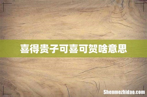 喜得贵子可喜可贺啥意思
