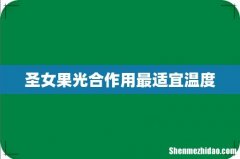 圣女果光合作用最适宜温度