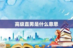 高级直男是什么意思