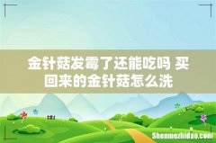 金针菇发霉了还能吃吗 买回来的金针菇怎么洗