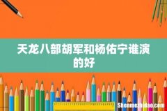 天龙八部胡军和杨佑宁谁演的好