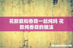 花胶能和香菇一起炖吗 花胶炖香菇的做法