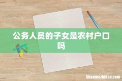 公务人员的子女是农村户口吗