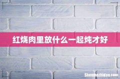 红烧肉里放什么一起炖才好