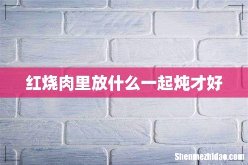 红烧肉里放什么一起炖才好