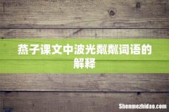 燕子课文中波光粼粼词语的解释