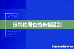 张婧仪周也的长相区别