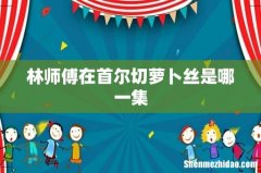 林师傅在首尔切萝卜丝是哪一集