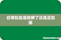 白带拉丝是排卵了还是正在排