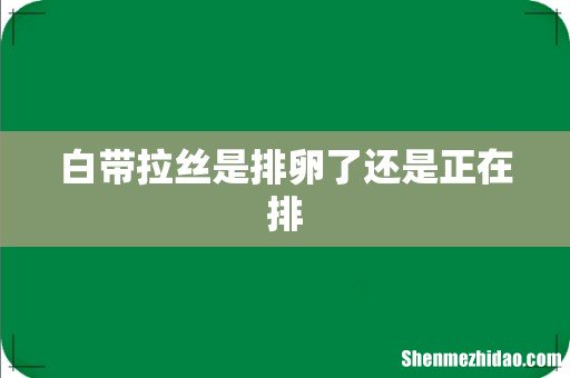 白带拉丝是排卵了还是正在排