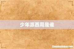 少年派西周是谁