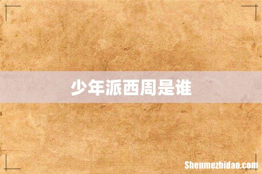 少年派西周是谁