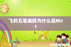 飞的五笔编码为什么是NUI