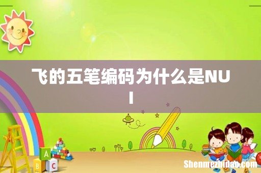 飞的五笔编码为什么是NUI