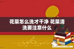 花菜怎么洗才干净 花菜清洗要注意什么
