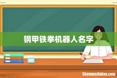 钢甲铁拳机器人名字