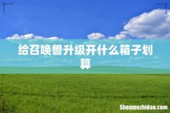 给召唤兽升级开什么箱子划算
