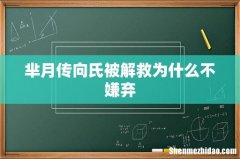 芈月传向氏被解救为什么不嫌弃