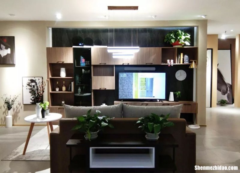 青海现代全屋定制加盟品牌 青海现代全屋定制加盟品牌电话