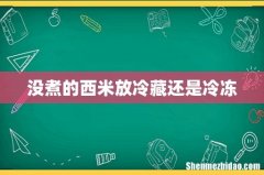 没煮的西米放冷藏还是冷冻