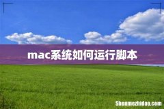 mac系统如何运行脚本