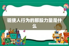 驱使人行为的那股力量是什么